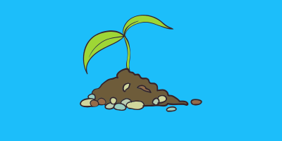 Seedling Kits