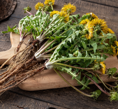 Uses of Native Plants