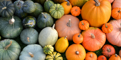 Pumpkins & Gourds