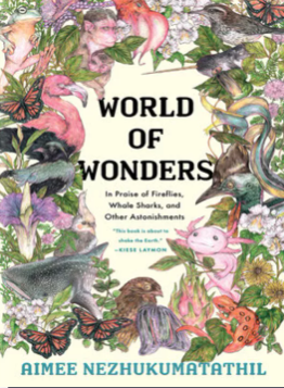 World of Wonders